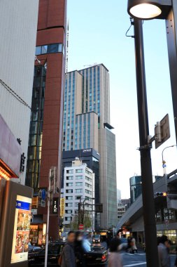 Gündüz vakti Japon şehrini tanımlayan mimarinin eşsiz desenlerini ve katmanlarını gözler önüne seriyor..