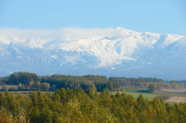 Kışın dağlık vadide karlı tepeler ve yeşil ağaçlar