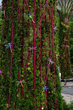 Singapur Botanik Bahçesi 