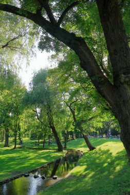Yazın yeşil parktaki nehir