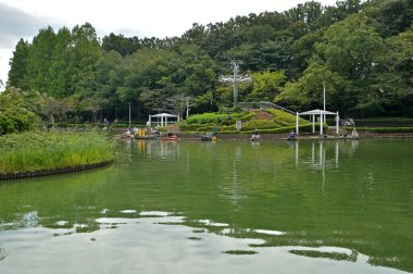 Yaz parkındaki yeşil ağaçlı güzel göl manzarası