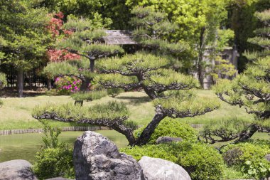 Geleneksel Japon Bahçesi - Sakai Şehri, Osaka, Japonya