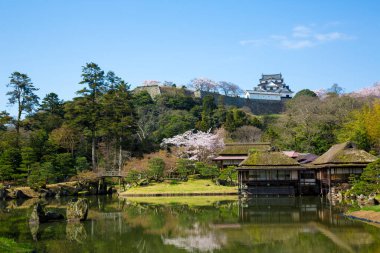 Yeşil ağaçları ve gölü olan Japon kalesi.