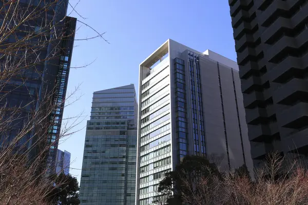Tokyo, Japonya 'da binaları olan modern şehir manzarası