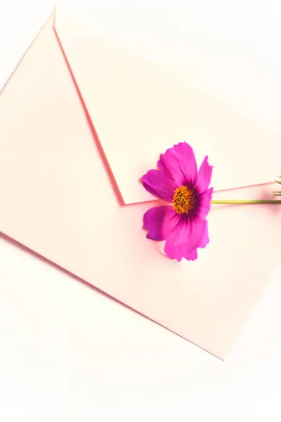 ซองจดหมายท ดอกไม บนพ นหล ขาว นหล งดอกไม ใบไม าหร บการ — ภาพถ่ายสต็อก