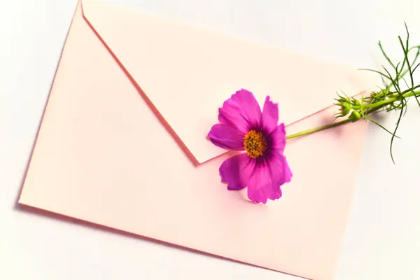 Enveloppe Avec Une Fleur Sur Fond Blanc Fond Floral Printanier — Photo
