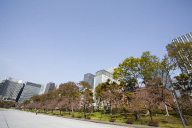 Modern şehir manzarası arka plan görüntüsü, şehir konsepti 