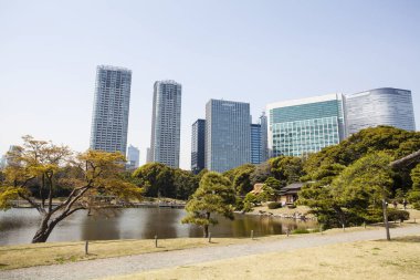 Modern şehir manzarası arka plan görüntüsü, şehir konsepti 