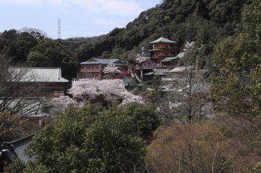 Chogosonshi-ji Tapınağı, Japonya 'nın Nara ilindeki Shigi Dağı' nda bulunan bir Budist tapınağı.. 