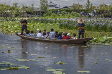 Katori 'deki Suigo Sawara Ayame Parkı' nda geleneksel tekne gezisi, Chiba Bölgesi, Japonya