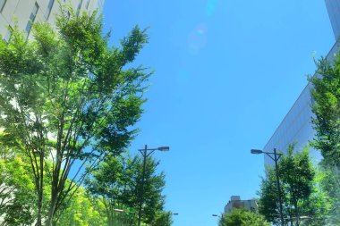 Mavi gökyüzü arkaplanı üzerinde modern mimarinin bulanık arkaplanı