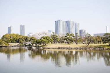 Modern şehir manzarası arka plan görüntüsü, şehir konsepti 
