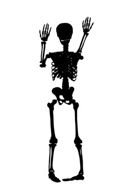 Arka planda korkunç iskelet, cadılar bayramı konsepti