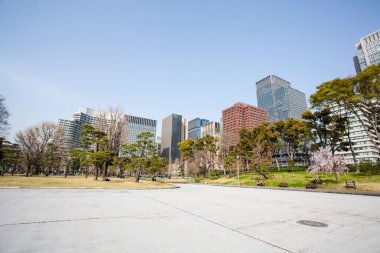 Modern şehir manzarası arka plan görüntüsü, şehir konsepti 