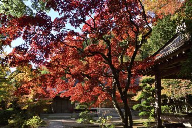 Kyoto, Japonya 'da sonbahar manzarası