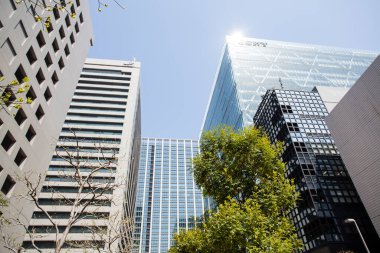 Şehirdeki modern binalar ve yeşil bahar ağaçları