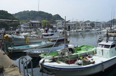 Yazın deniz manzarası, doğa manzarası.