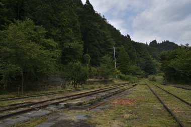 Ormandaki tren istasyonu, Japonya