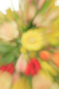 Renkli çiçekler bulanık arkaplan görünümü 