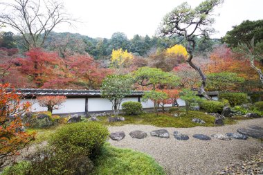 Japon bahçesinde renkli bitkiler ve ağaçlar 