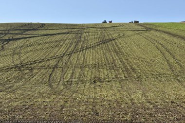 Traktör yeşil alan