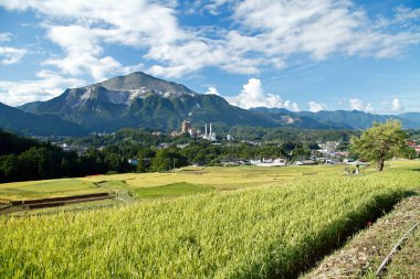 Kırsaldaki yeşil dağlar ve pirinç tarlaları 