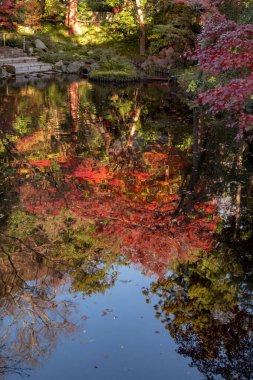 Japon Gölü 'nün sonbahar manzarası