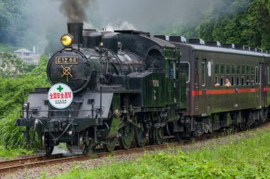 Ormandaki güzel tren 