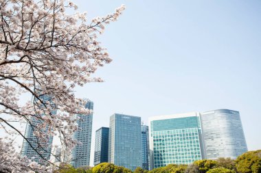 Modern şehir manzarası arka plan görüntüsü, şehir konsepti 