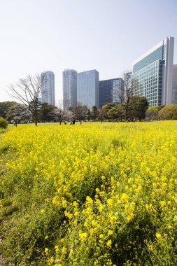 Modern şehir manzarası arka plan görüntüsü, şehir konsepti 