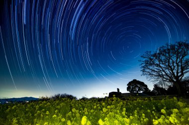 Kayan yıldızlar ve kırsal alan manzaralı gece gökyüzü