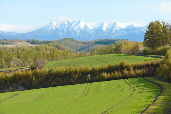 Green Valley Hokkaido — Stock Photo, Image