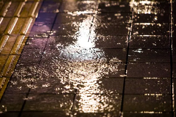 夜の湿った道の背景 — ストック写真