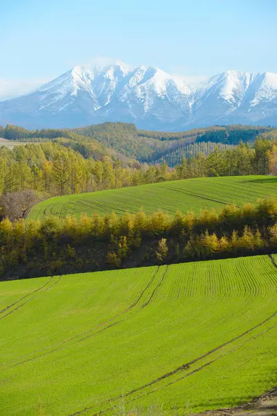 Spring Carpathian Mountains — Stock Photo, Image