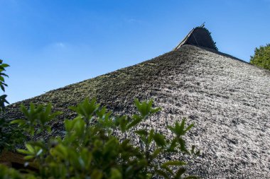Açık mavi gökyüzünün altındaki eğimli sazdan çatı yeşilimsi