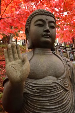 Buda 'nın güzel heykeli parktaki sonbahar ağaçlarıyla birlikte.