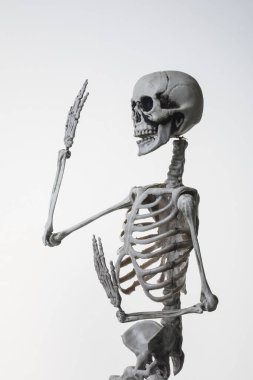 Arka planda korkunç iskelet, cadılar bayramı konsepti