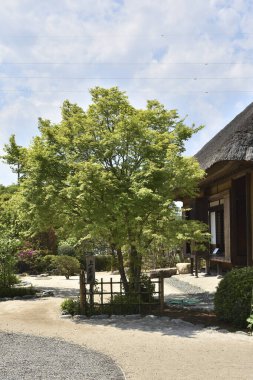 Japonya 'daki eski evin yakınlarındaki geleneksel bahçe manzarası