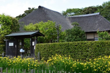 Japonya 'daki eski evin yakınlarındaki geleneksel bahçe manzarası