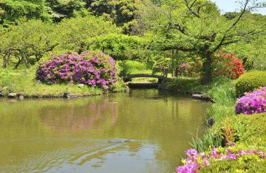 Japon parkının ortasındaki bahçe.