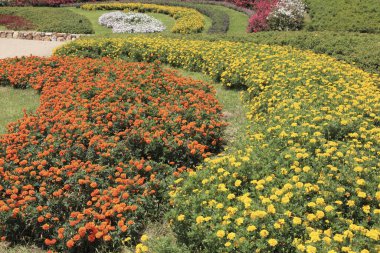 Parktaki çiçek bahçesi.