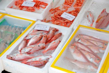 Pazarda taze çiğ balık