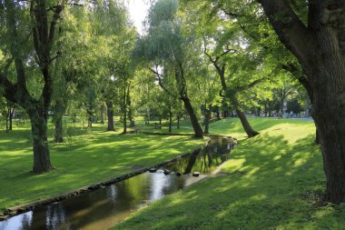 Yazın yeşil parktaki nehir