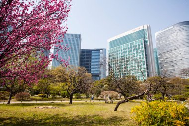 Modern şehir manzarası arka plan görüntüsü, şehir konsepti 