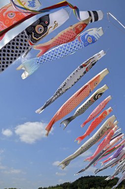 Japon koinobori ya da sazan balıklarının açık hava görüntüsü.                