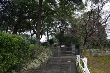 Sakin bir Asya parkı yaz güneşinde ışıl ışıl parlıyor.