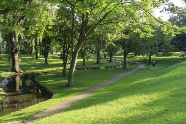 Yazın yeşil parktaki nehir