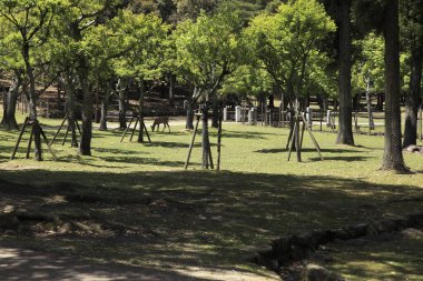 İspanya 'nın Granada, Endülüs kırsalının güzel doğal manzarası.