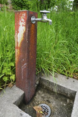 Bahçedeki paslı metal boruyla yeşil çimenli musluk 