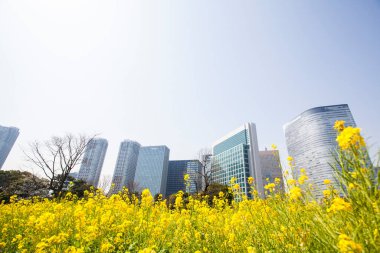 Modern şehir manzarası arka plan görüntüsü, şehir konsepti 